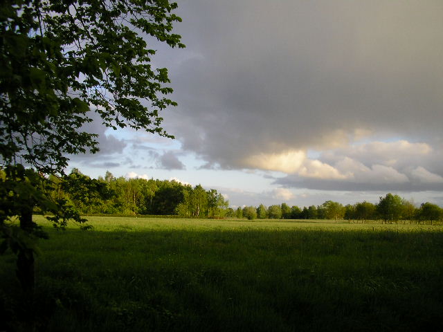 Friedeburg Ferienwohnung Ostfriesland
